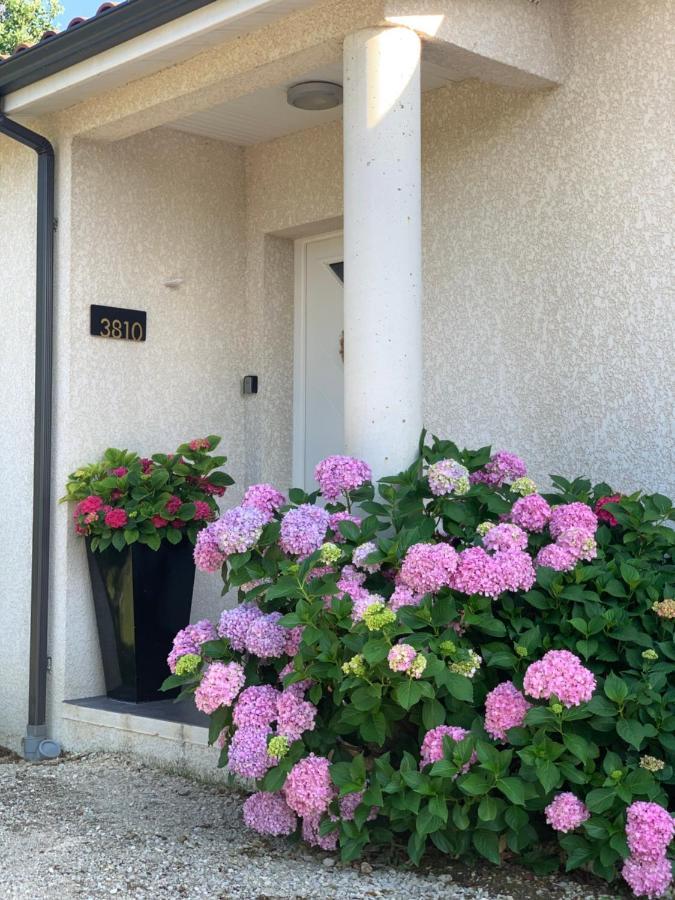 La Maison D'Isabel Montauban Exterior photo